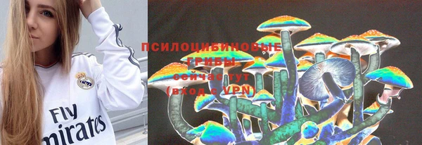 a pvp Алексин