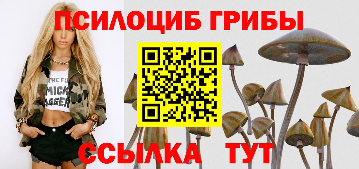 Шатура  Псилоцибиновые грибы Psilocybe  Вход с VPN 