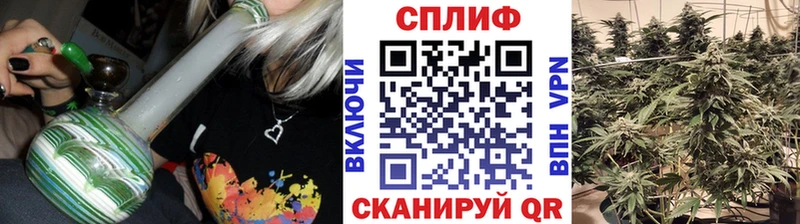 МАРИХУАНА конопля Шатура